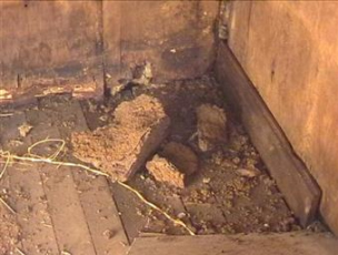 Building Inspections 